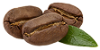 coffee beans-Satrapkimya